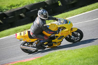brands-hatch-photographs;brands-no-limits-trackday;cadwell-trackday-photographs;enduro-digital-images;event-digital-images;eventdigitalimages;no-limits-trackdays;peter-wileman-photography;racing-digital-images;trackday-digital-images;trackday-photos